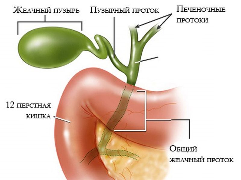 лечение холецистита лекарствами